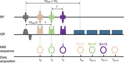 Dynamic R2' Imaging can Be a Biomarker for Diagnosing and Staging Early Acute Kidney Injury in Animals